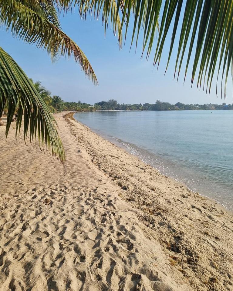 Caribbean Beach Cabanas Placencia Esterno foto